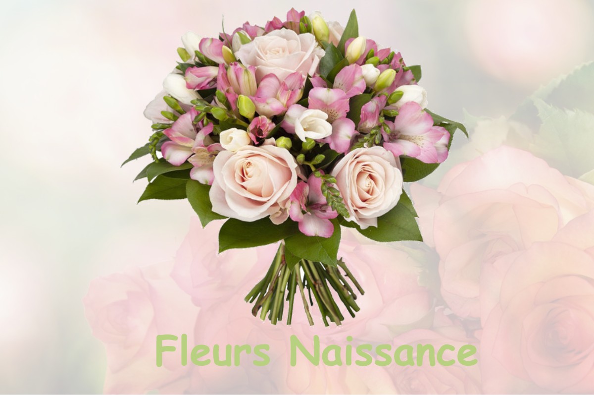 fleurs naissance SAINT-ELOI-DE-FOURQUES
